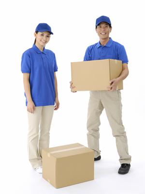 洗車作業を効率化！最高品質の洗車用具をお探しの方におすすめ【最新情報】